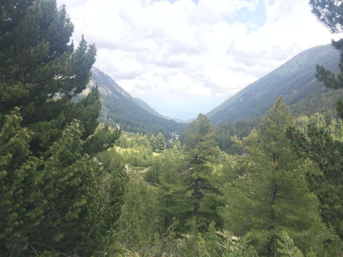 Belvedere Holiday Apartment Bansko Zewnętrze zdjęcie